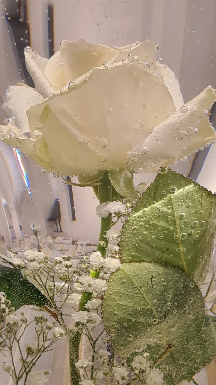 Weiße Rose mit Schleierkraut in einer Glasvase, Detail der Hochzeitsdekoration